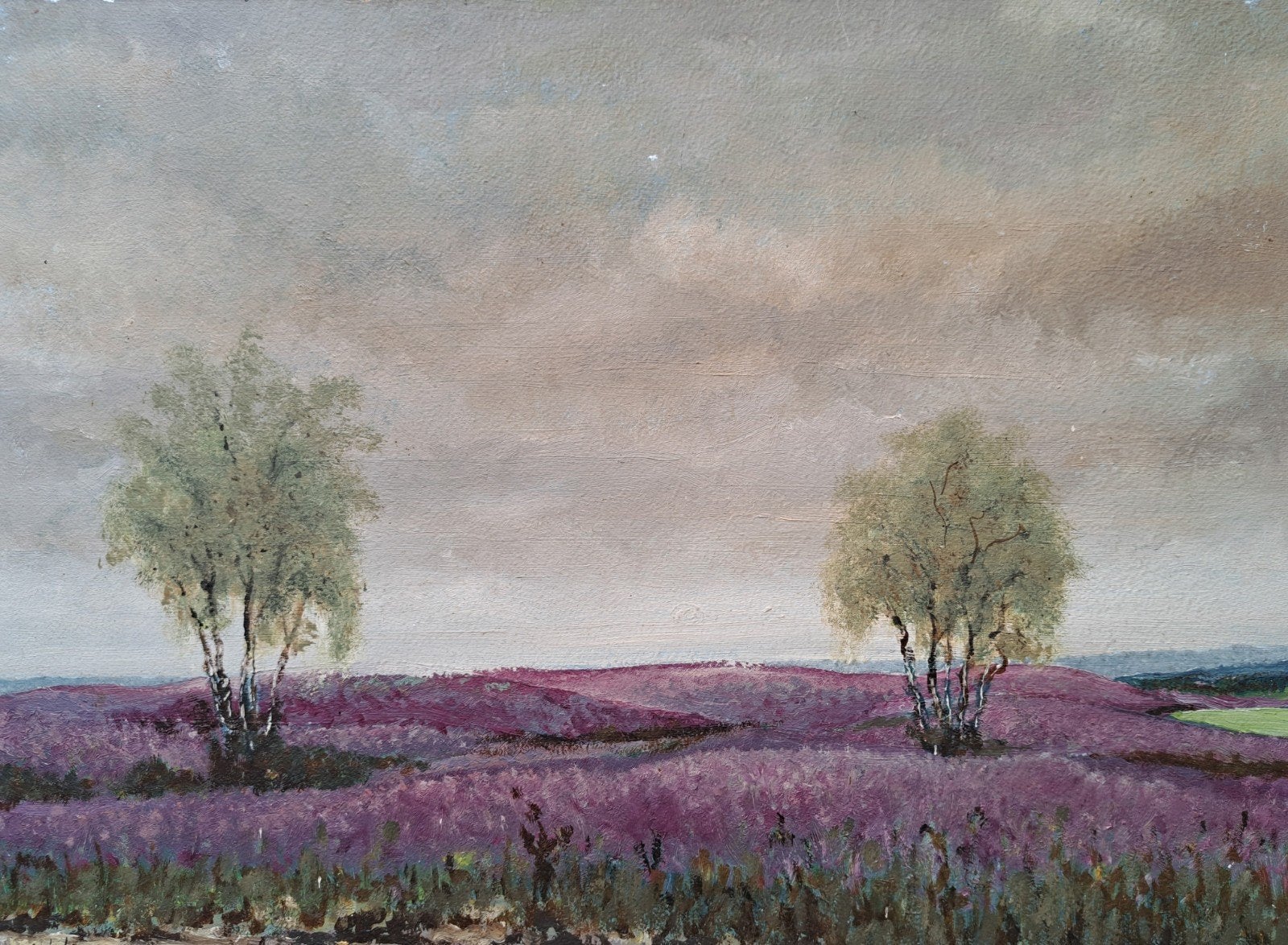 Heidelandschap met berkenbomen - Olieverf op paneel, Antiek en Kunst, Kunst | Schilderijen | Klassiek, Origineel werk, Paneel