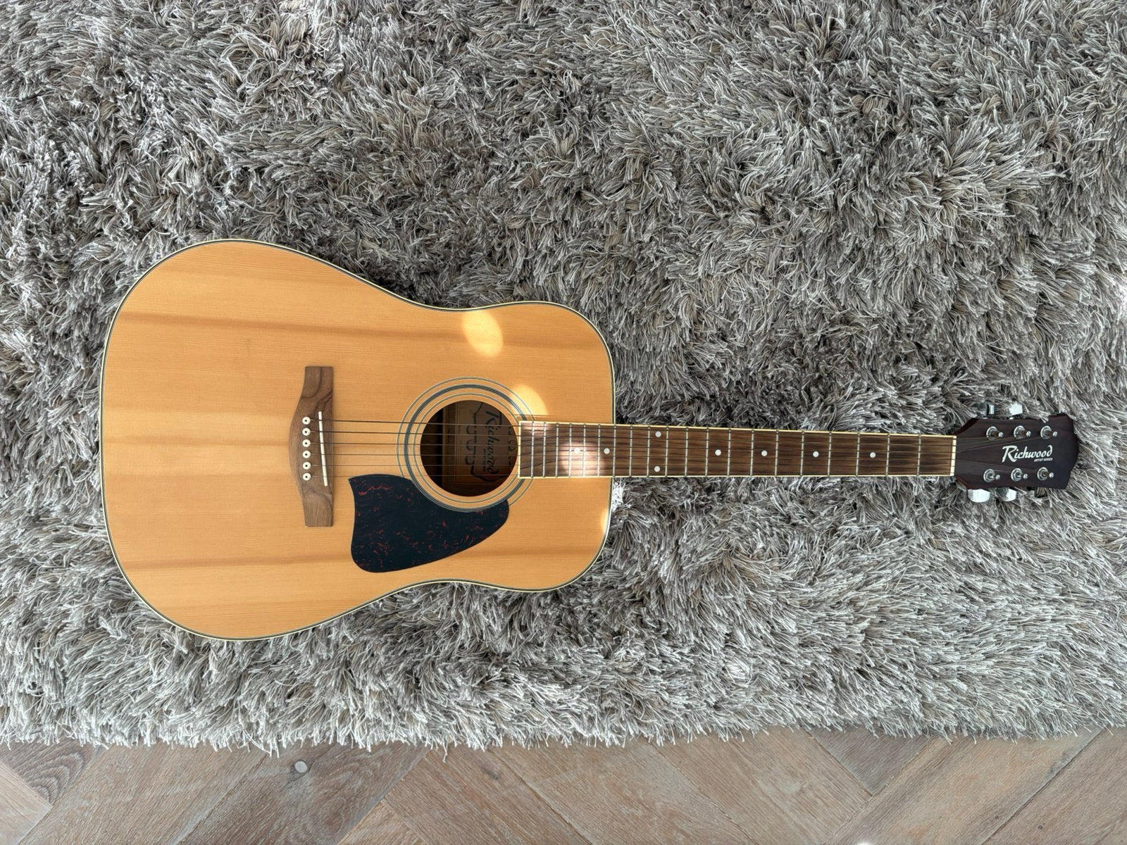 Richwood akoestische gitaar, Muziek en Instrumenten, Ophalen, Zo goed als nieuw, Western- of Steelstringgitaar