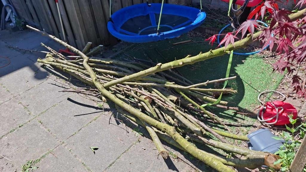 Perzikhout, Ophalen, Minder dan 100 cm