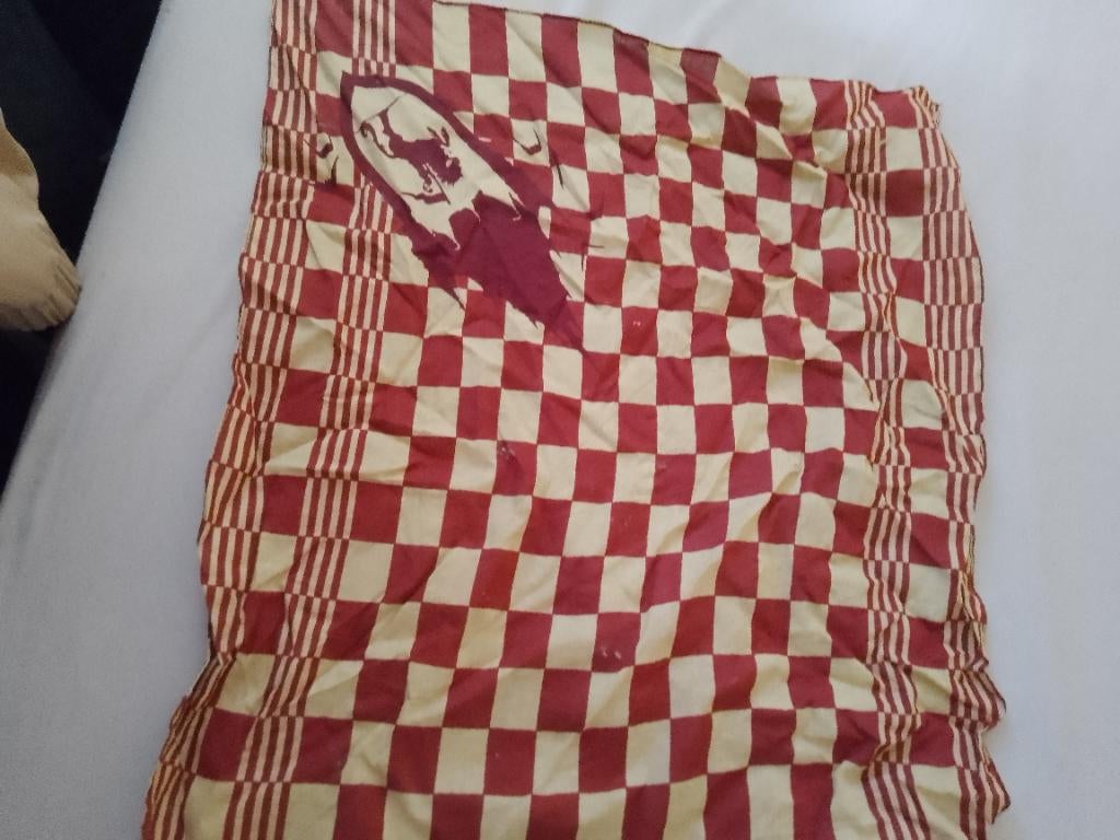 Het wapen van ravelijn, Verzamelen, Efteling, Ophalen of Verzenden, Zo goed als nieuw, Overige typen