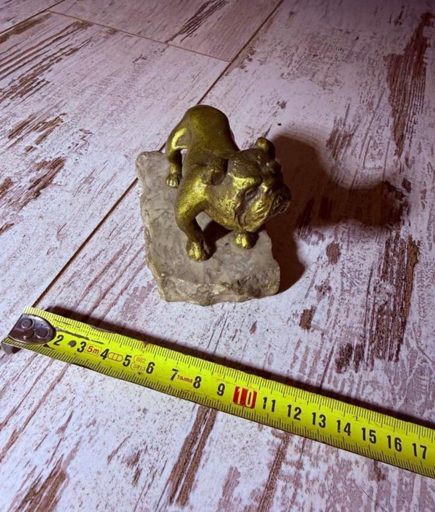 Charmant bronzen beeldje van een Engelse Bulldog, Minder dan 20 cm, Ophalen of Verzenden, Beeld, Goud