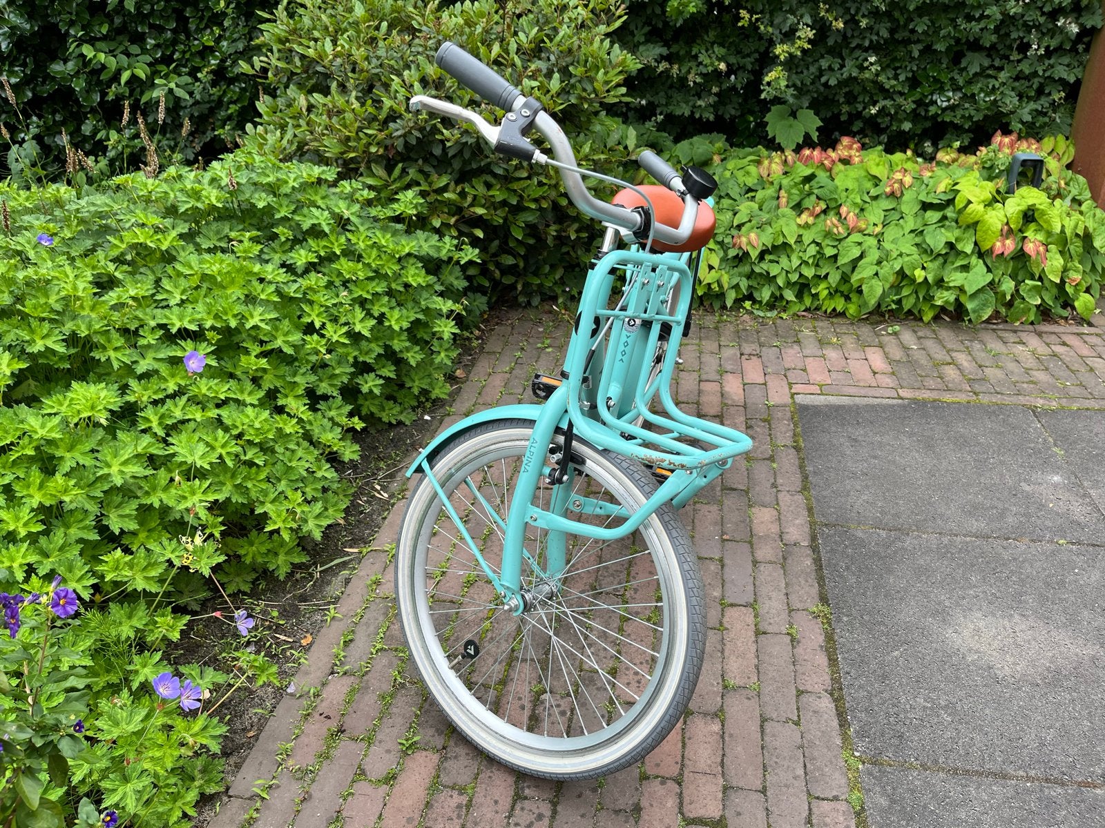 Alpina clubb (22 inch) - Zo goed als nieuw, Fietsen en Brommers, Terugtraprem, 47 tot 50 cm, Zo goed als nieuw, Ophalen