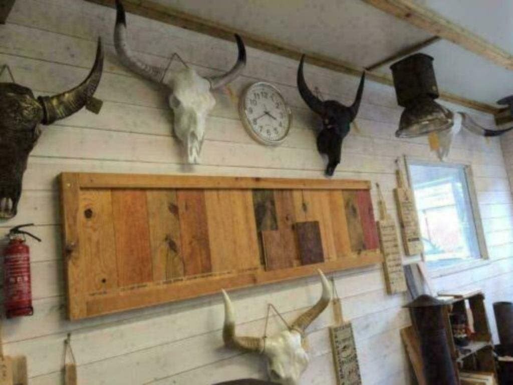 Foto 15 van Buffelschedels , Skulls , Longhorn , hoorns , bison schedels