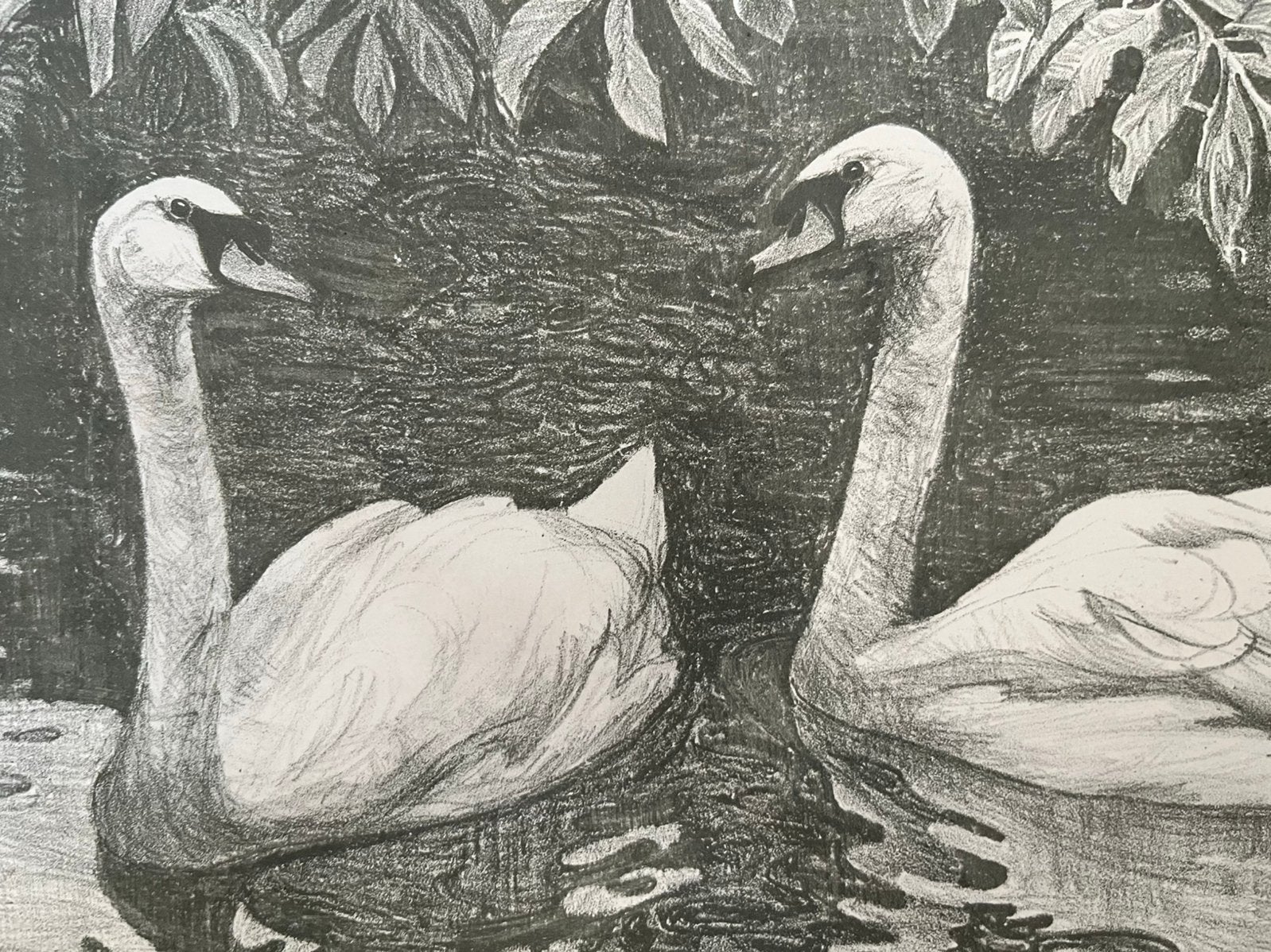 Sam van Beek - Lithografie - Twee zwanen - 1925, Antiek en Kunst, Origineel, Ophalen of Verzenden, Lithografie, Dieren en Natuur