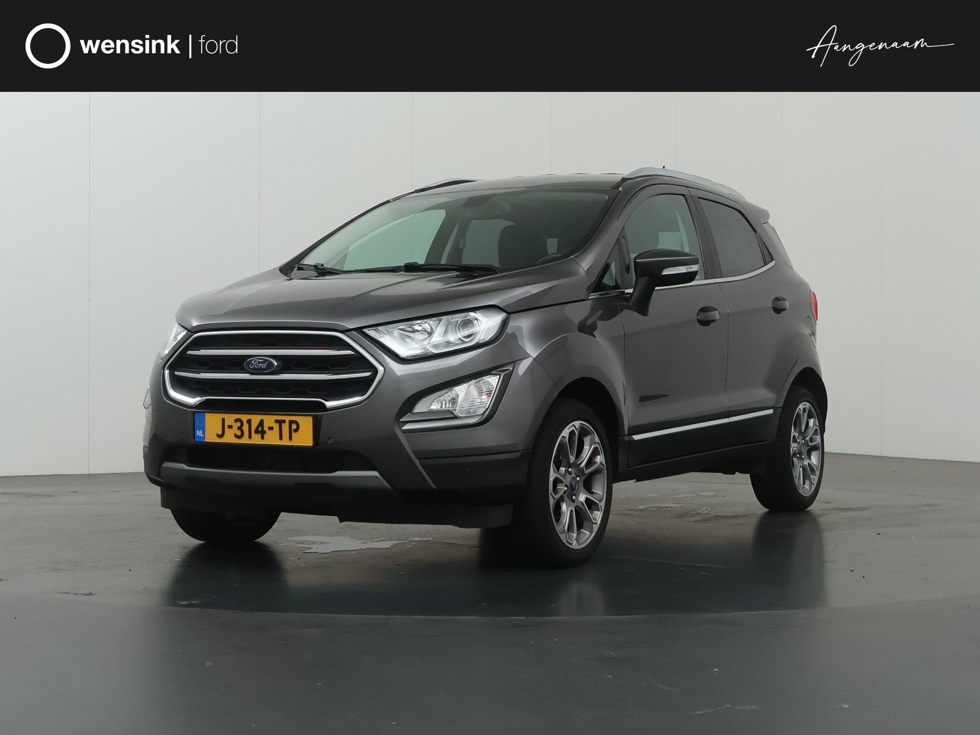 Ford EcoSport 1.0 EcoBoost Titanium | Winterpakket | Parkeer, Auto's, Ford, Voorwielaandrijving, 125 pk, Gebruikt, Euro 6