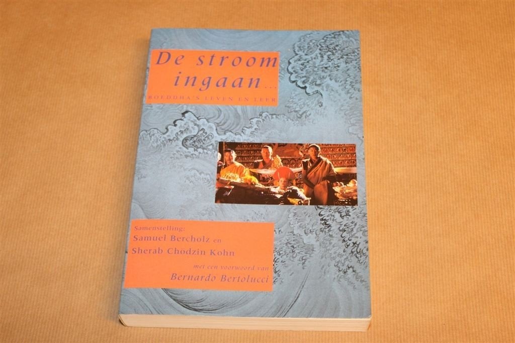 De Stroom Ingaan — Boeddha Leven & Leer 1993, Ophalen of Verzenden, Gelezen, Overige onderwerpen, Achtergrond en Informatie