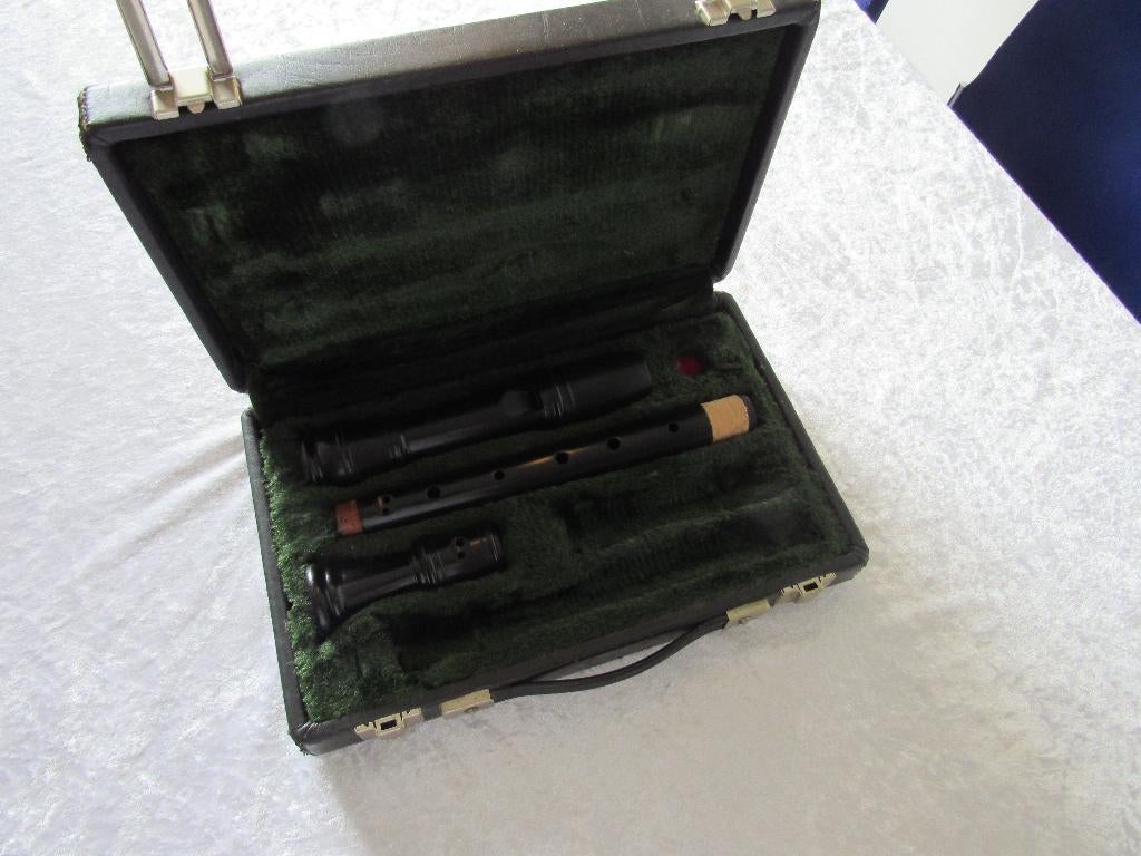 Dolmetsch BS 3499 alt blokfluit, Muziek en Instrumenten, Blaasinstrumenten | Blokfluiten, -, -, Zo goed als nieuw, -