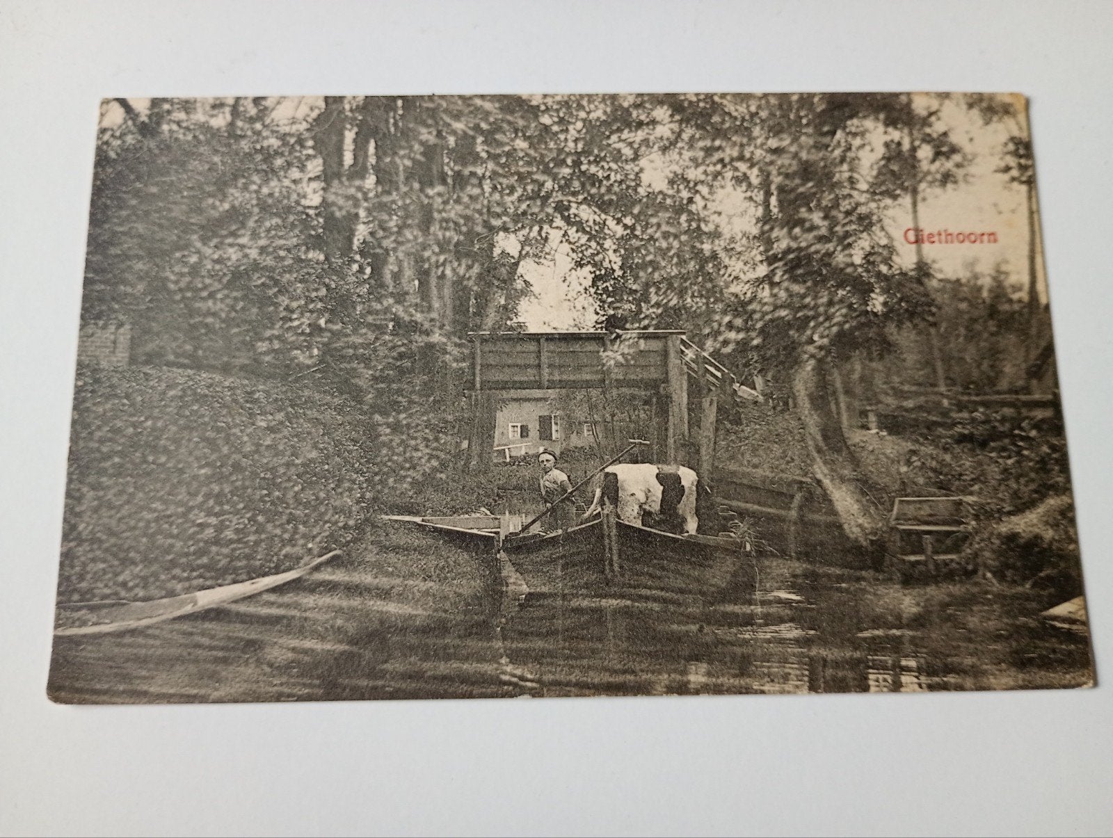 Giethoorn Punter met Veevervoer, Ophalen of Verzenden, Voor 1920, Ongelopen, Overijssel