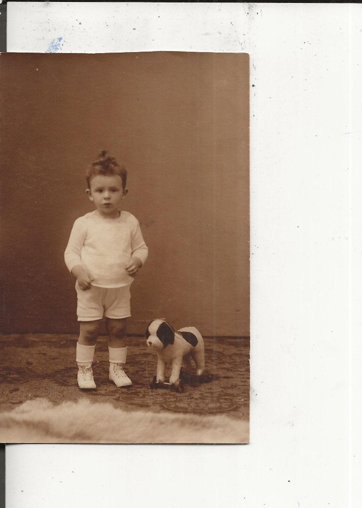 Vlaardingen Ventje met hond op wieltjes Fotokaart, Ophalen of Verzenden, Voor 1920, Ongelopen, Zuid-Holland