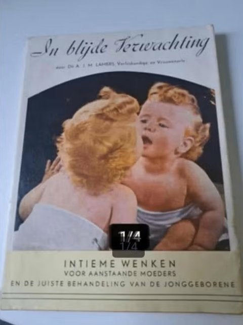 In blijde verwachting - Oud boekje - A.J.M. Lamers, Boeken, Zwangerschap en Opvoeding, Gelezen, Zwangerschap en Bevalling, Ophalen of Verzenden