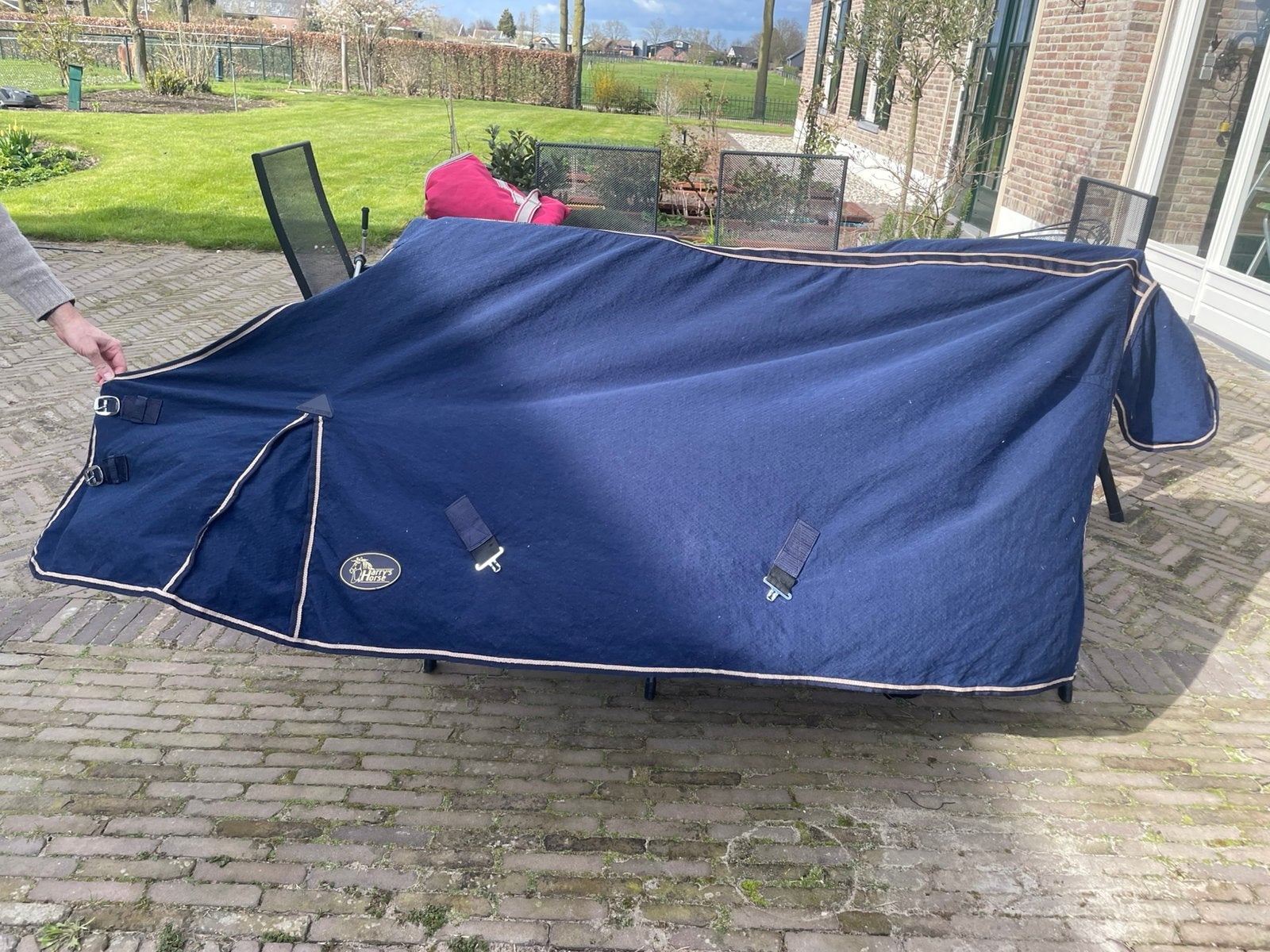Harry's Horse Zomerdeken Honeycomb, Full (L), Katoen, 0 g, Ophalen of Verzenden