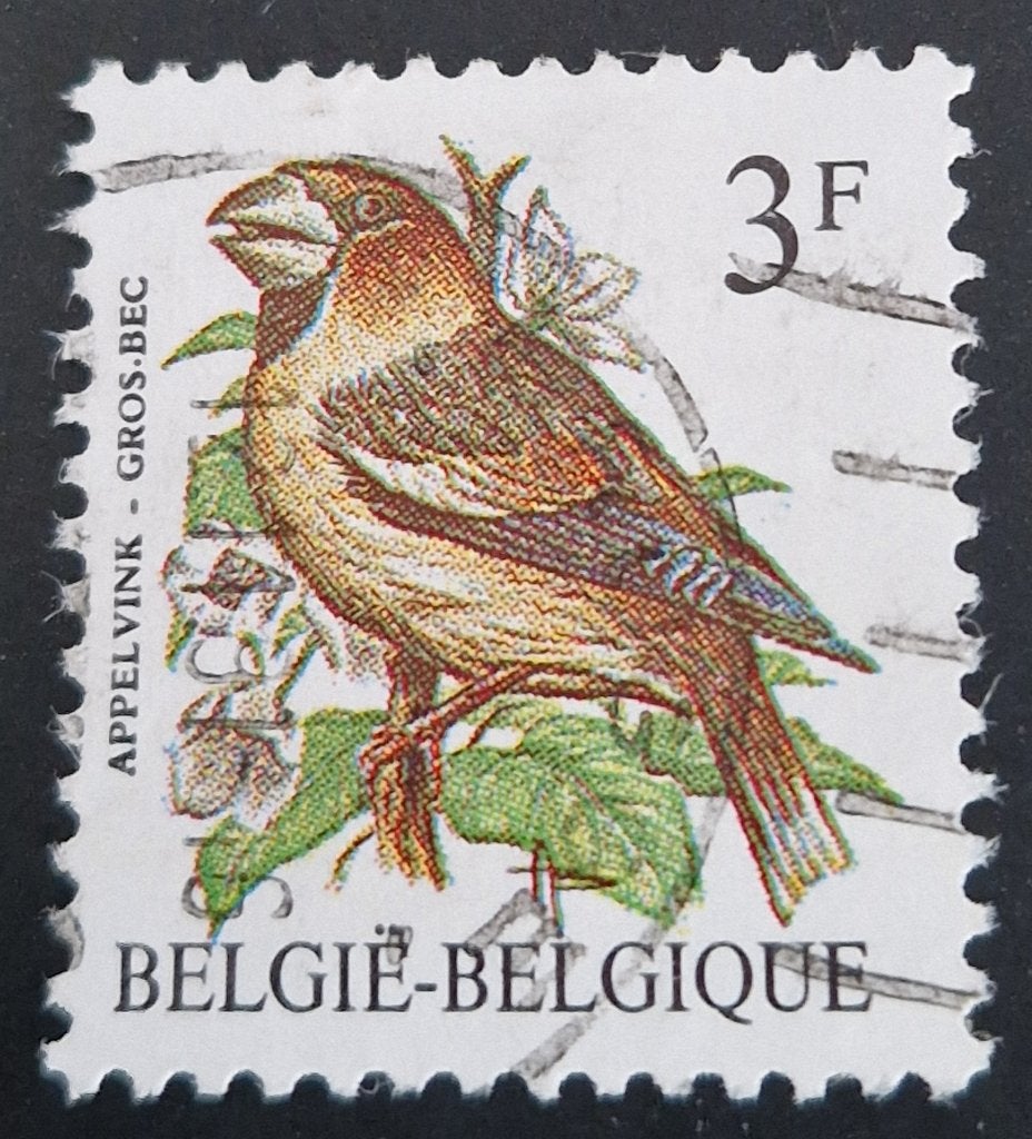 België 1985 - OBP 2193-2196 - Buzin Vogels Appelvink, Frankeerzegel, Ophalen of Verzenden, Gestempeld, Gestempeld
