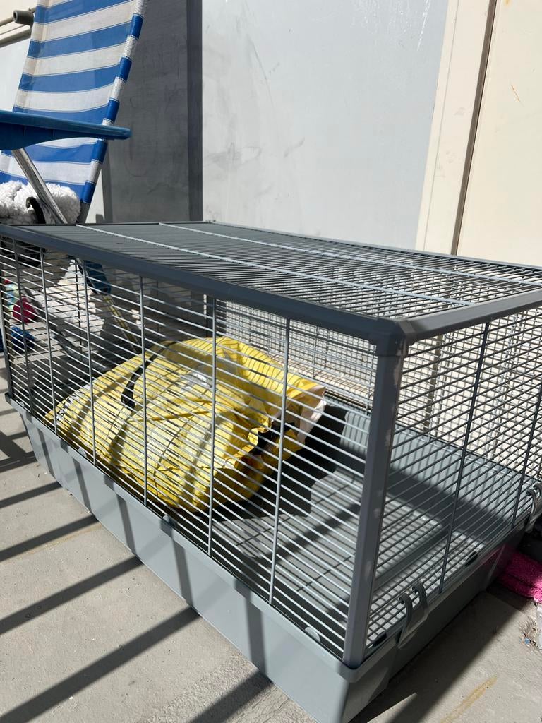Kooien voor knaagdieren, hamsters en cavia's, Dieren en Toebehoren, Minder dan 60 cm, Kooi, Ophalen of Verzenden, 75 tot 110 cm