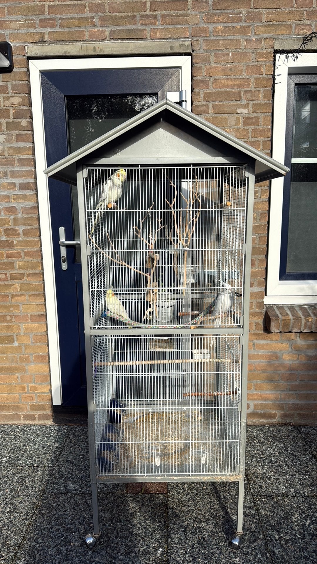 Valkparkieten, Ophalen, Zo goed als nieuw, Metaal, Vogelkooi