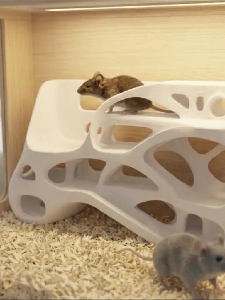 Hamster/muizen huisje-meer dan 30 kleuren, Ophalen of Verzenden