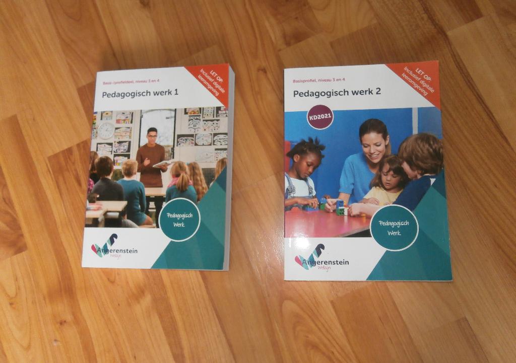 Professioneel werken+Methodiek enbegeleiden Pedagogisch werk, Ophalen of Verzenden, Zo goed als nieuw, Overige niveaus, Angerenstein
