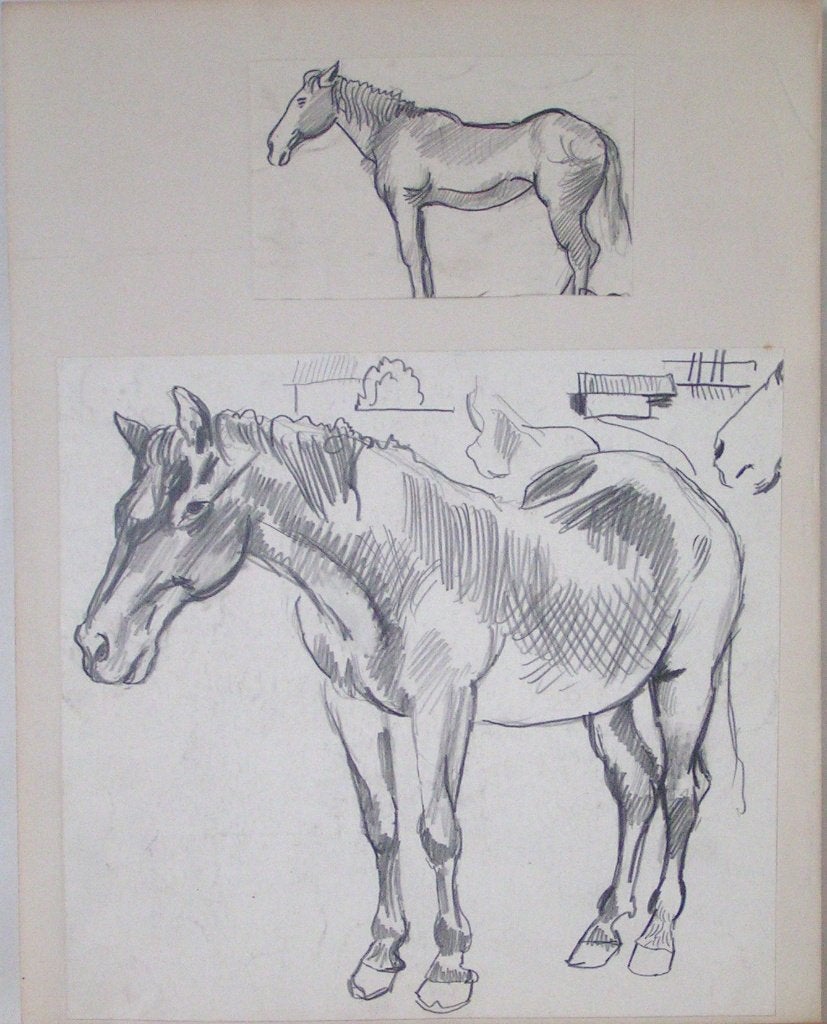 Hubert Bekman PAARD te limburg een potlood HB WERK tekening, Antiek en Kunst, Kunst | Tekeningen en Foto's, Verzenden, Tekening