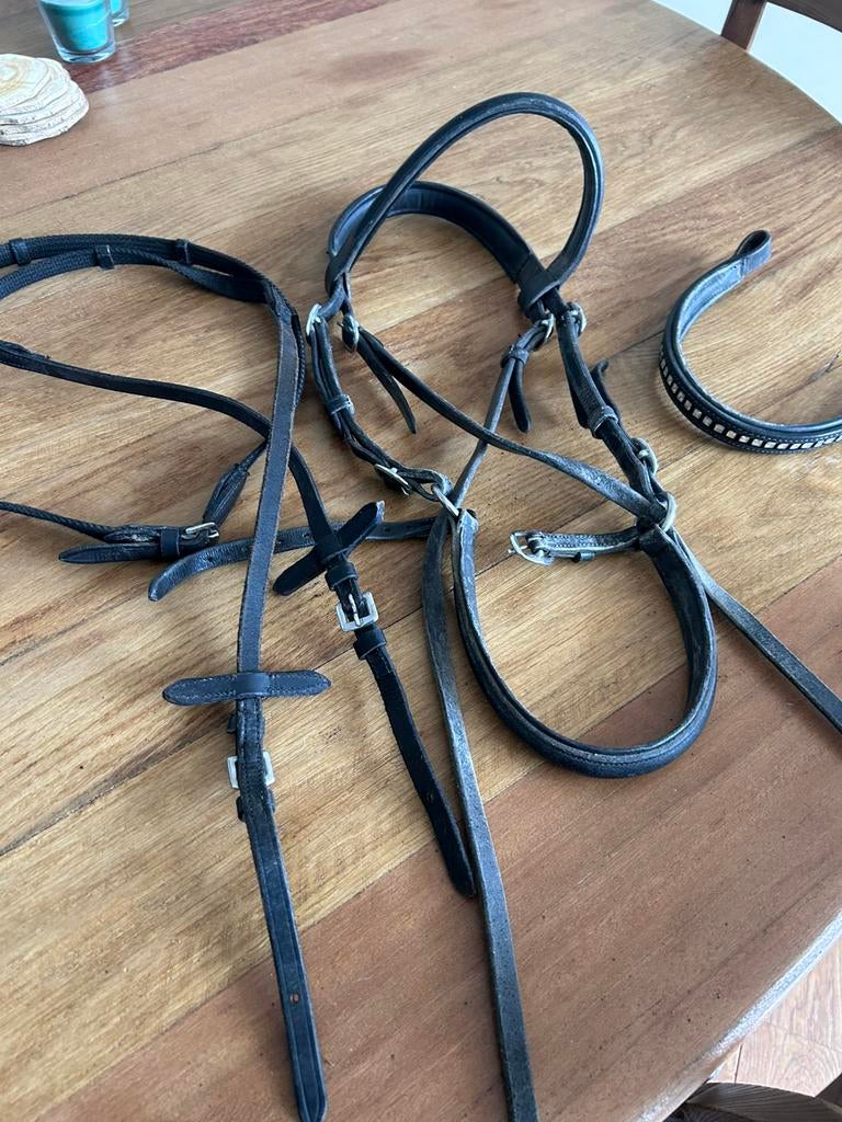 Bitloos hoofdstel pony, Ophalen of Verzenden, Dressuur