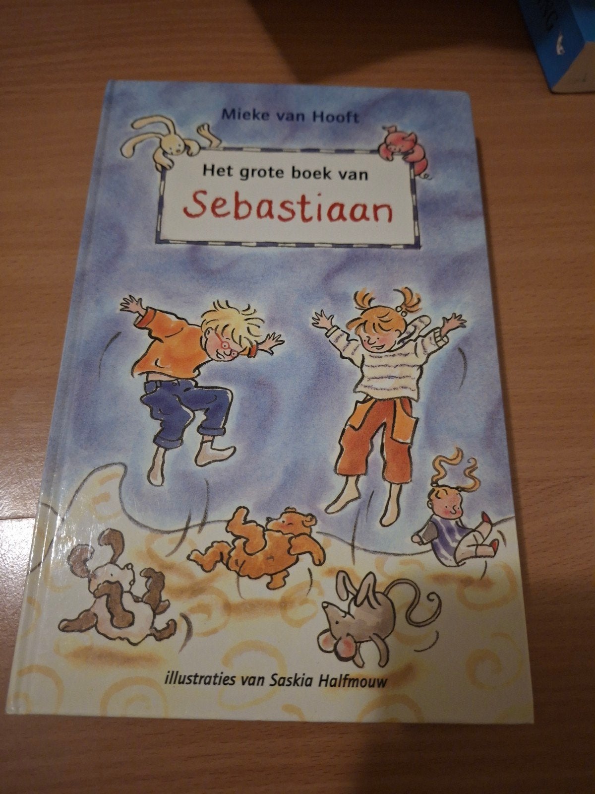 Mieke van Hooft - Het grote boek van Sebastiaan, Boeken, Ophalen, Fictie algemeen, Mieke van Hooft, Zo goed als nieuw