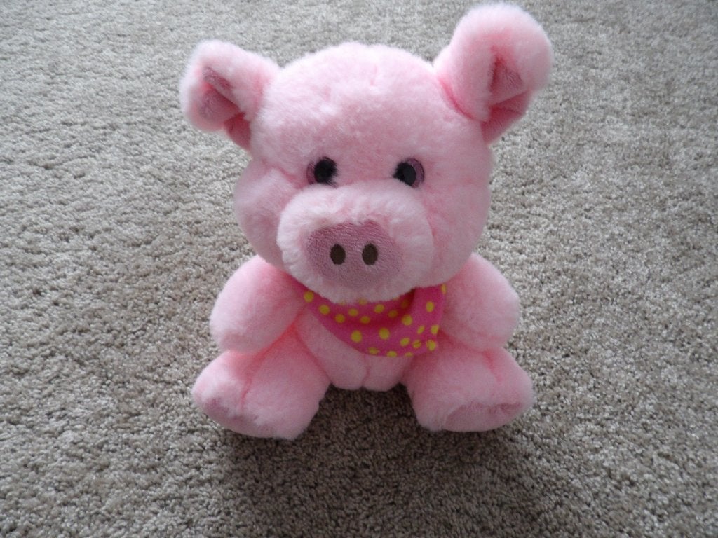 NIEUW 1 mooi zacht rose knuffel VARKENTJE 23 cm, Ophalen of Verzenden, Nieuw, Overige typen