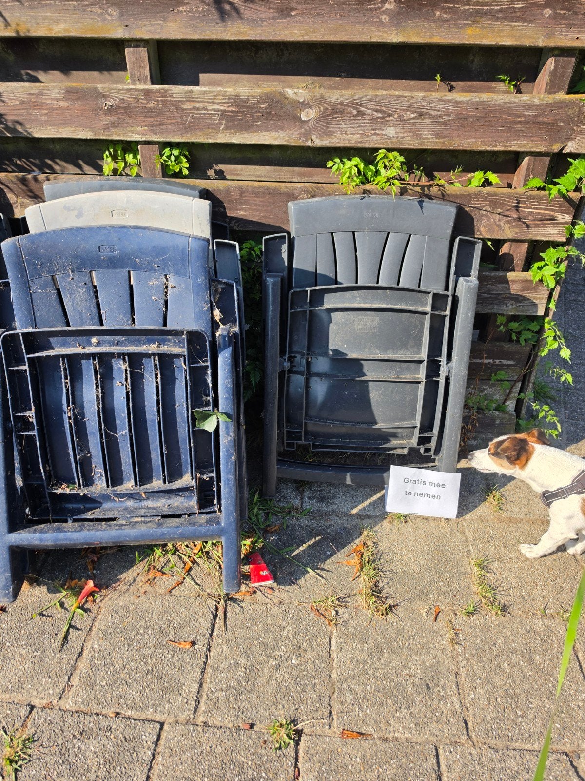 Gratis af te halen: Gebruikte plastic tuinstoelen, Tuin en Terras, Ophalen, Gebruikt, Plastic, Stapelbaar
