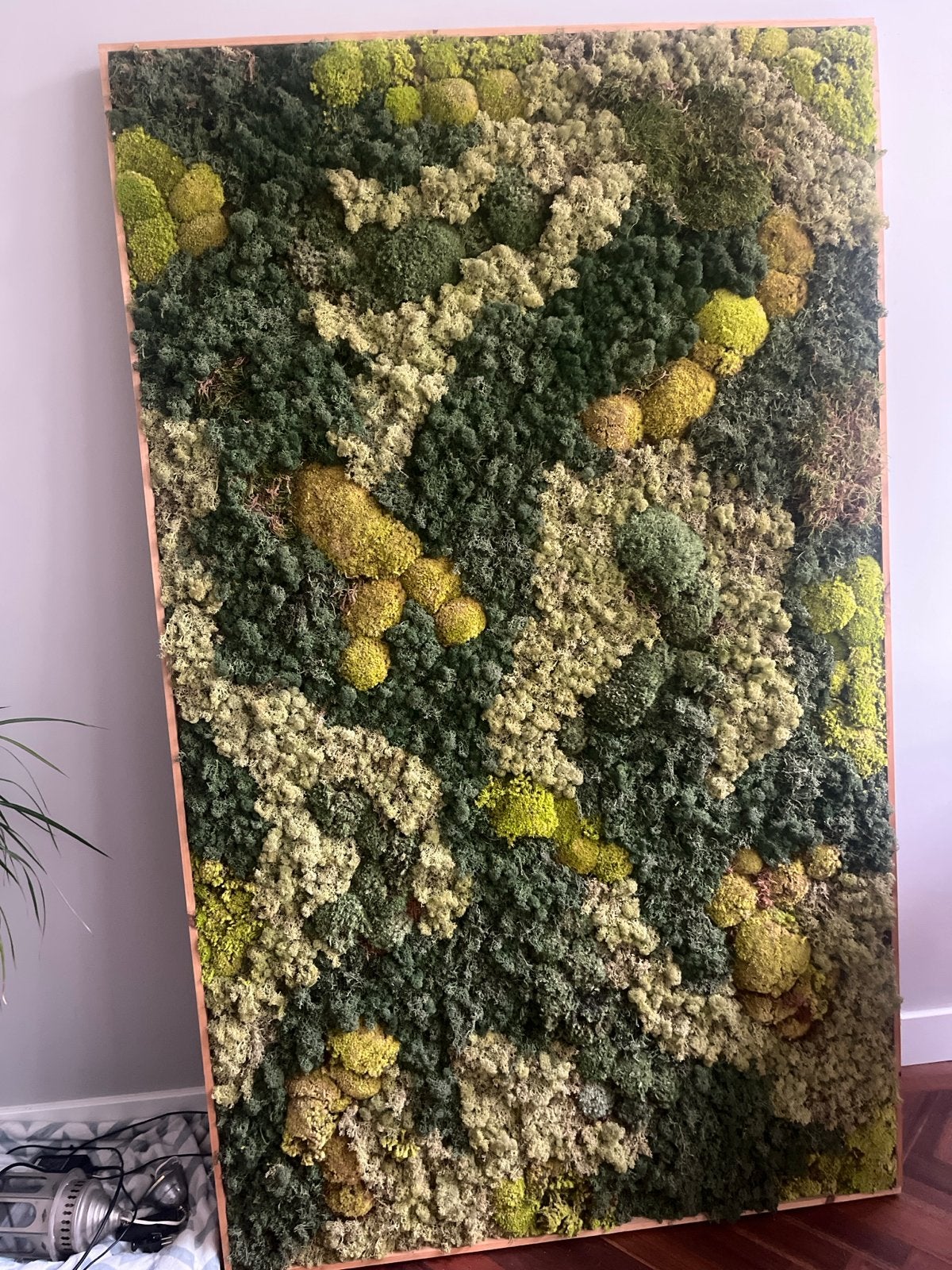 Grote Wanddecoratie van Mos - Natuurlijke Groene Kunst, Ophalen, Meerkleurig, Nieuw, Natuurlijk materiaal