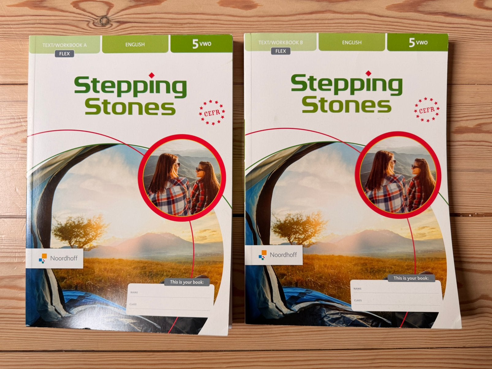 Nieuw. Stepping Stones 5 VWO Engels - Text/Workbook A + B, Ophalen of Verzenden, Nieuw, VWO, Engels