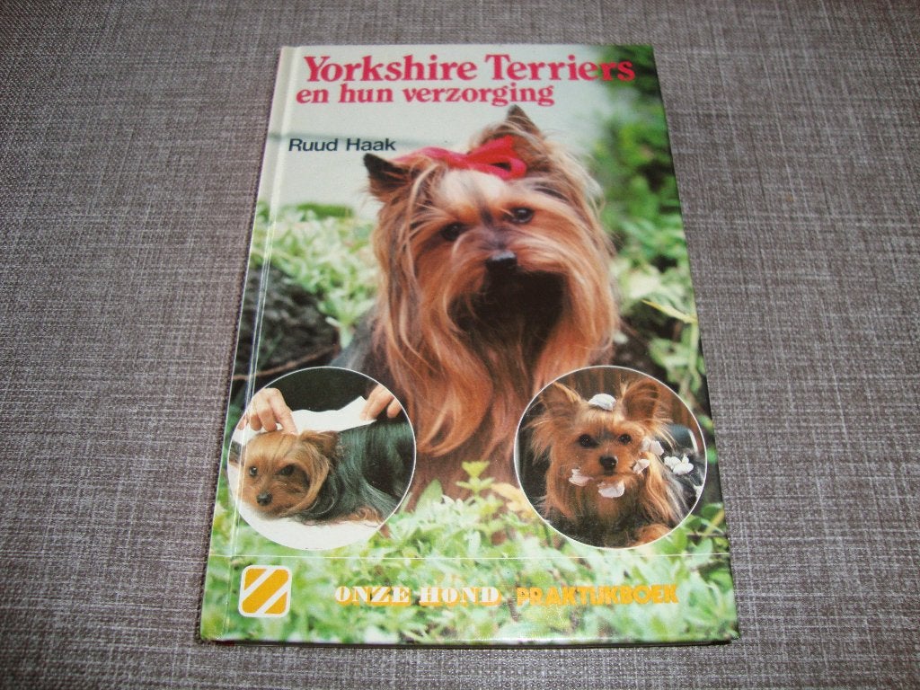 Yorkshire Terriërs, Ophalen of Verzenden, Zo goed als nieuw, Honden