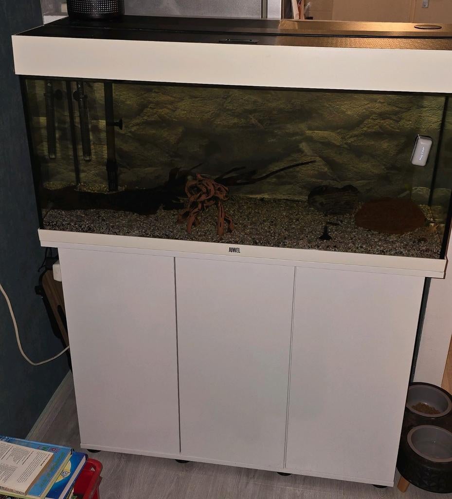 Jewel aquarium inclusief kast en filter, Dieren en Toebehoren, Vissen | Aquaria en Toebehoren, Ophalen, Zo goed als nieuw, Leeg aquarium