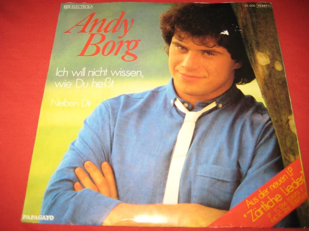 Andy Borg: Ich will nicht wisssen, wie Du heisst, Ophalen of Verzenden, Zo goed als nieuw, Pop