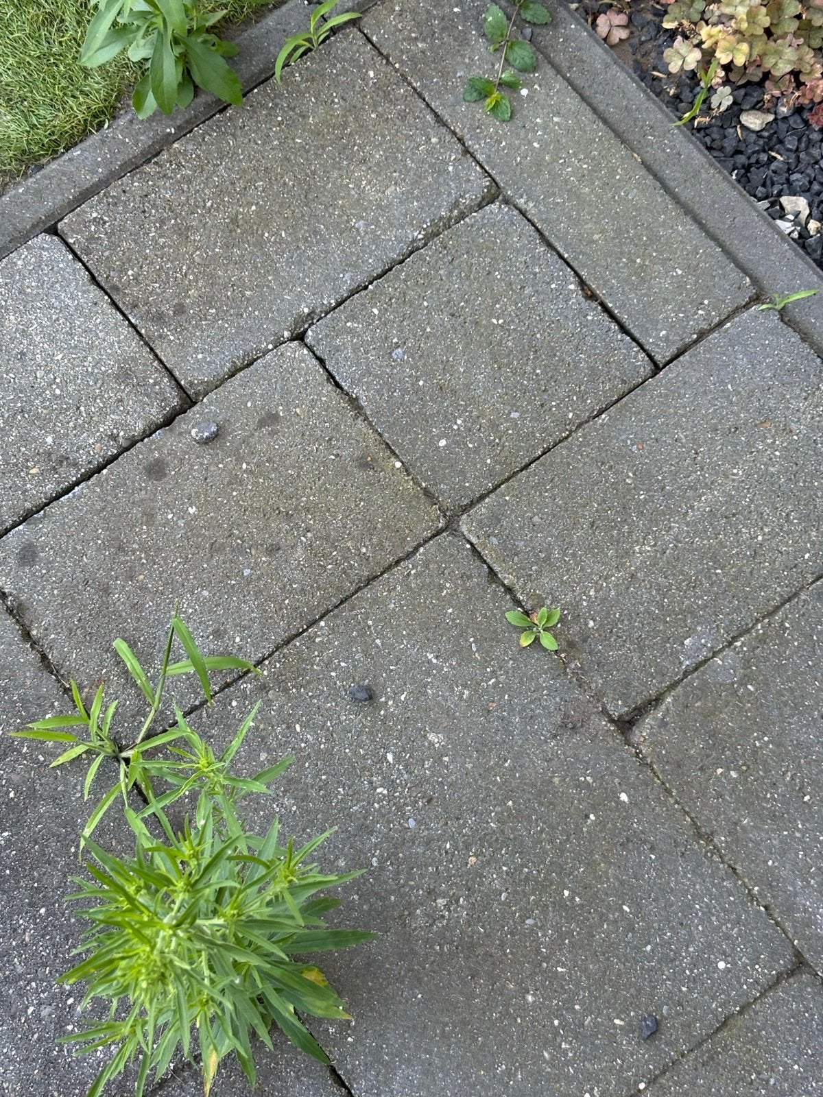 Terrasbestrating, Ophalen, Gebruikt, 10 m² of meer, Beton