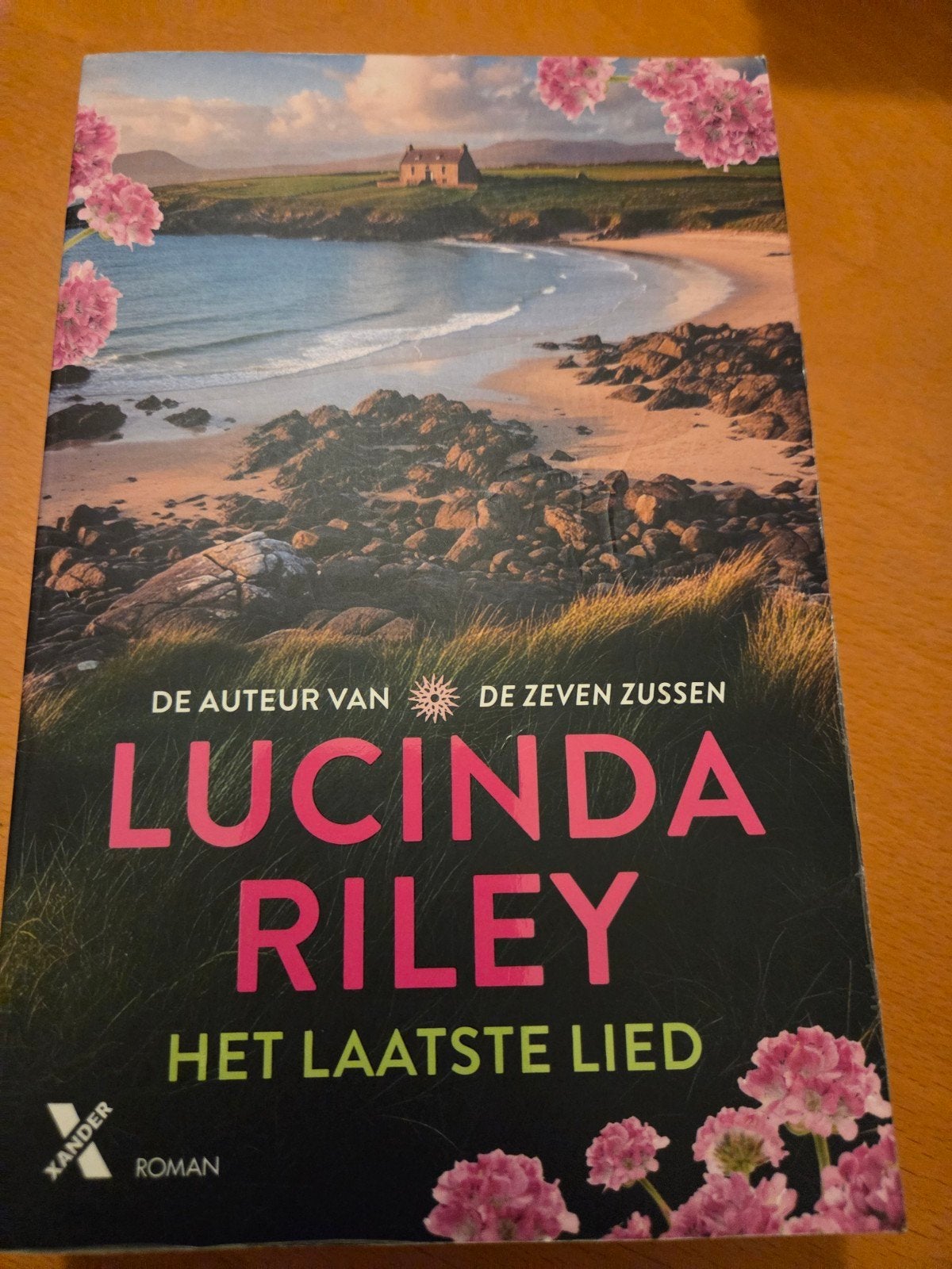 Het Laatste Lied - Lucinda Riley (Roman), Boeken, Ophalen of Verzenden, Zo goed als nieuw, Lucinda Riley