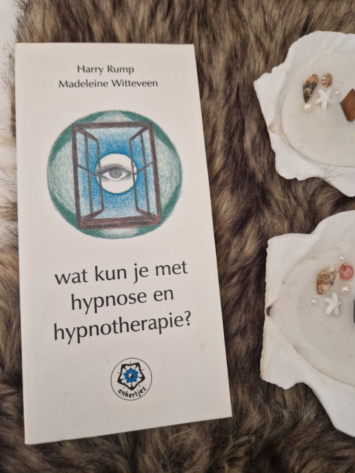 Wat kun je met hypnose en hypnotherapie? - Harry Rump, Achtergrond en Informatie, Ophalen of Verzenden, Zo goed als nieuw, Overige onderwerpen