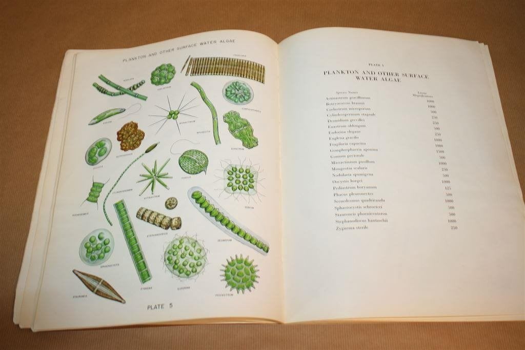 Algae in Water Supplies, Ophalen of Verzenden, Gelezen, Natuurwetenschap