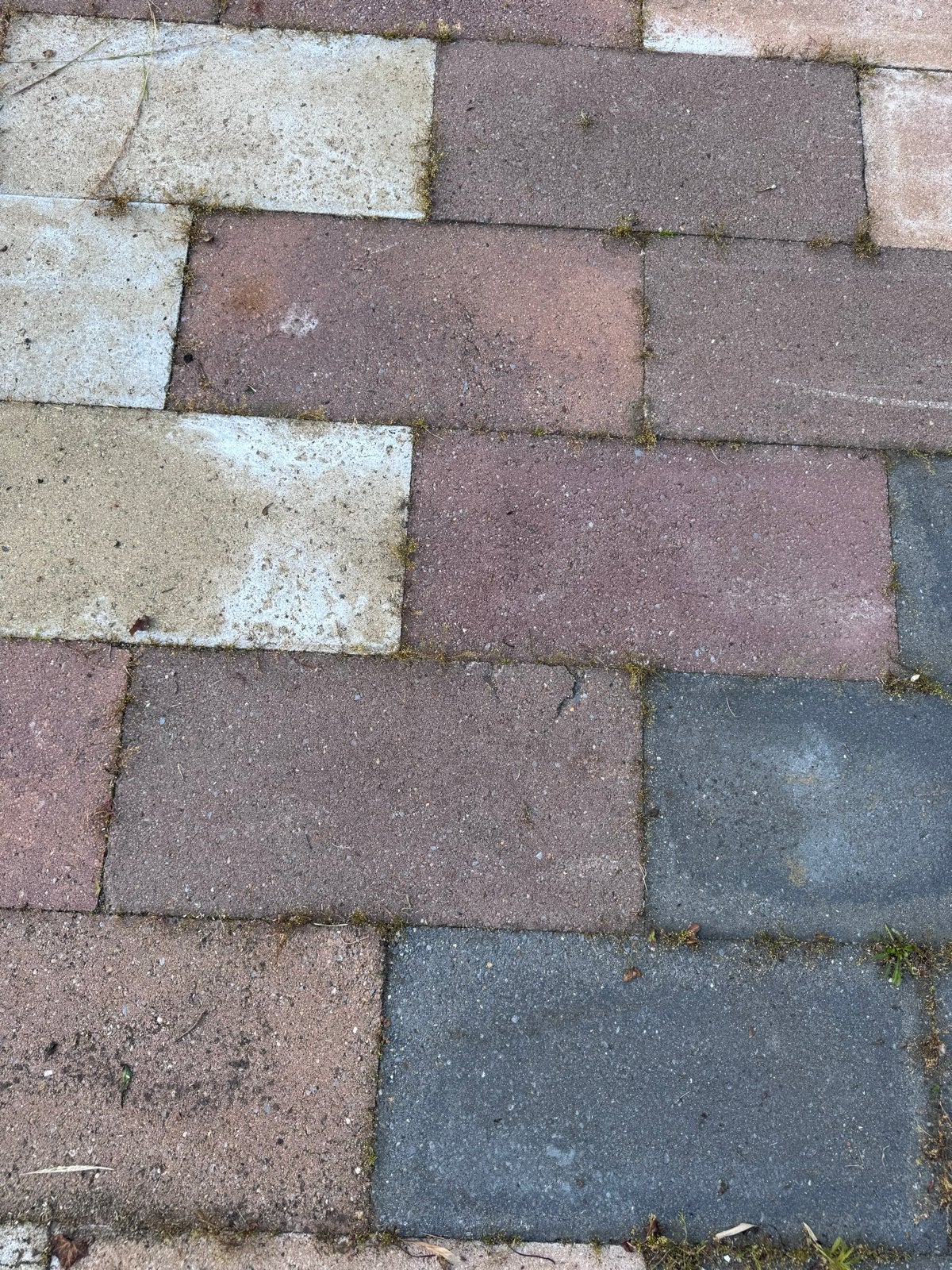 Ruim 300m2 betontegels, 3-kleurig, zelf verwijderen, Ophalen, Gebruikt, 10 m² of meer, Beton