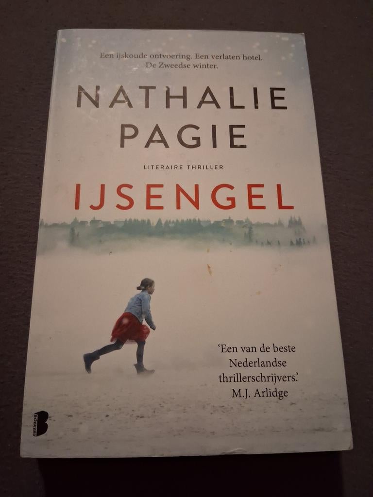 IJsengel - Nathalie Pagie (Literaire Thriller), Ophalen of Verzenden, Gelezen, Nathalie Pagie, Nederland