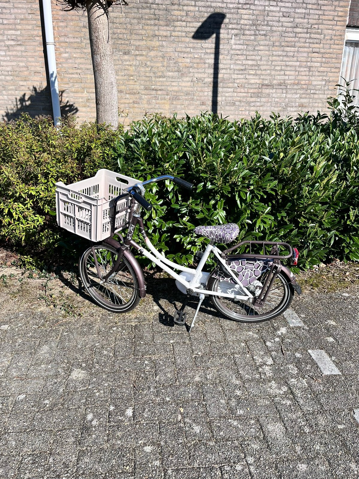 Safarilook meisjesfiets 20 inch, Fietsen en Brommers, Fietsen | Meisjes, Ophalen, Gebruikt, Terugtraprem, 20 inch