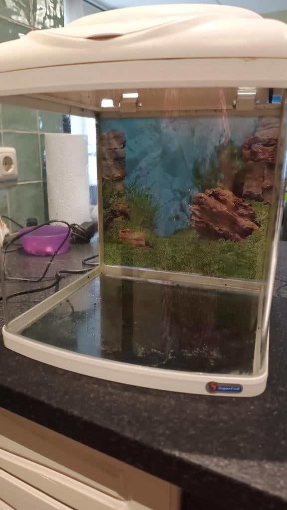 Aquarium, Dieren en Toebehoren, Vissen | Aquaria en Toebehoren, Ophalen, Gebruikt, Leeg aquarium, Superfish