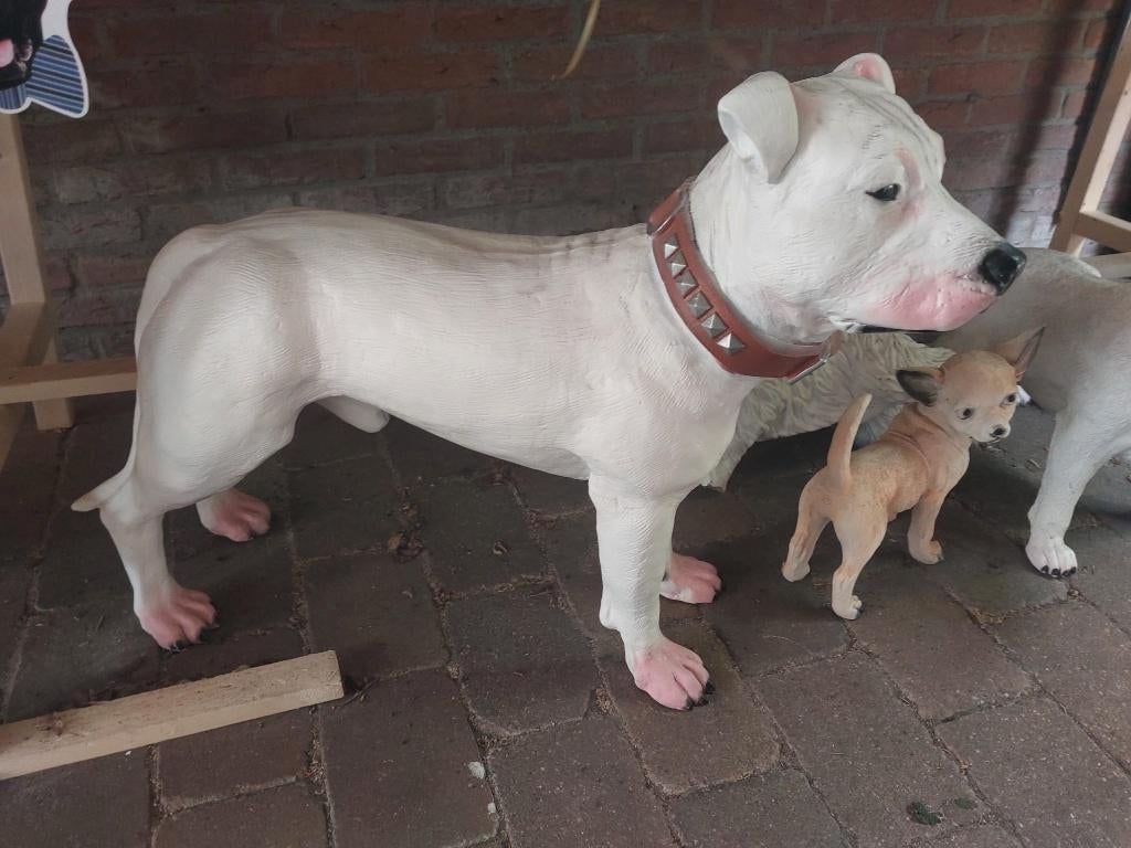 decoratief honden beeld pittbull/stafford, Ophalen of Verzenden, Zo goed als nieuw, Dier