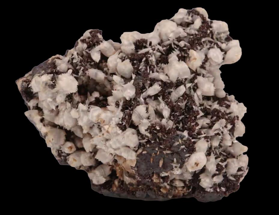 CALCIET op ANDRADIET uit de N'Chwaning II mijn, Zuid-Afrika., Verzamelen, Mineralen en Fossielen, Mineraal, Ophalen of Verzenden