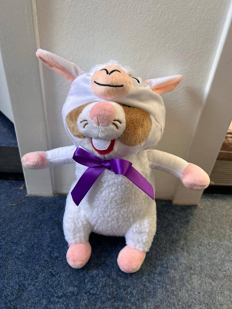 Albert Heijn Hamster in schaapskostuum knuffel, Albert Heijn, Hamster, Ophalen of Verzenden, Middelgroot (20 tot 80 cm)