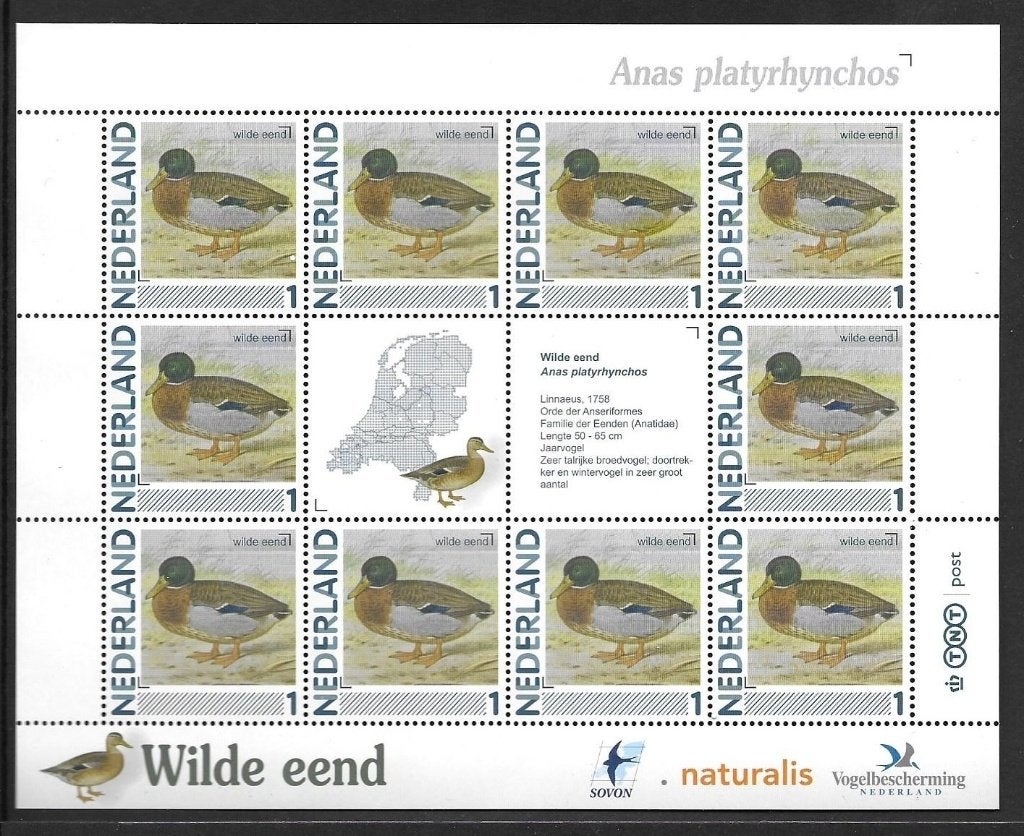 Vel persoonlijke zegels, vogels Wilde Eend, postfris, Ophalen of Verzenden, Postfris