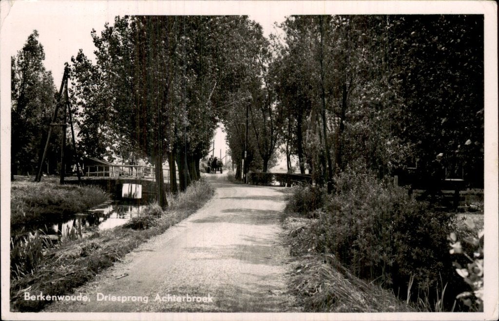 Berkenwoude - Driesprong - Achterbroek, Ophalen of Verzenden, 1940 tot 1960, Gelopen, Zuid-Holland