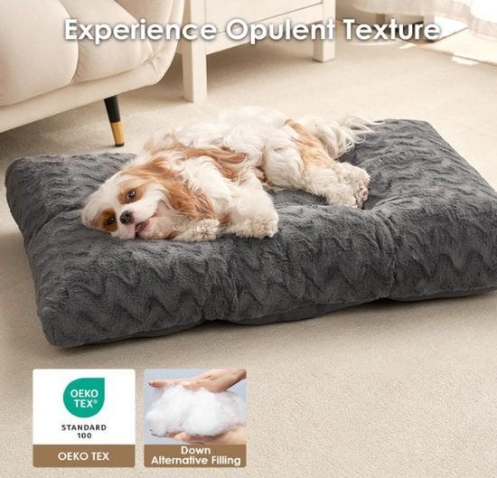 Hondenbed – Hondenkussen – Hondemand – Hondenmat, Corvance B.V., Verzenden, Nieuw, Corvancebol@gmail.com