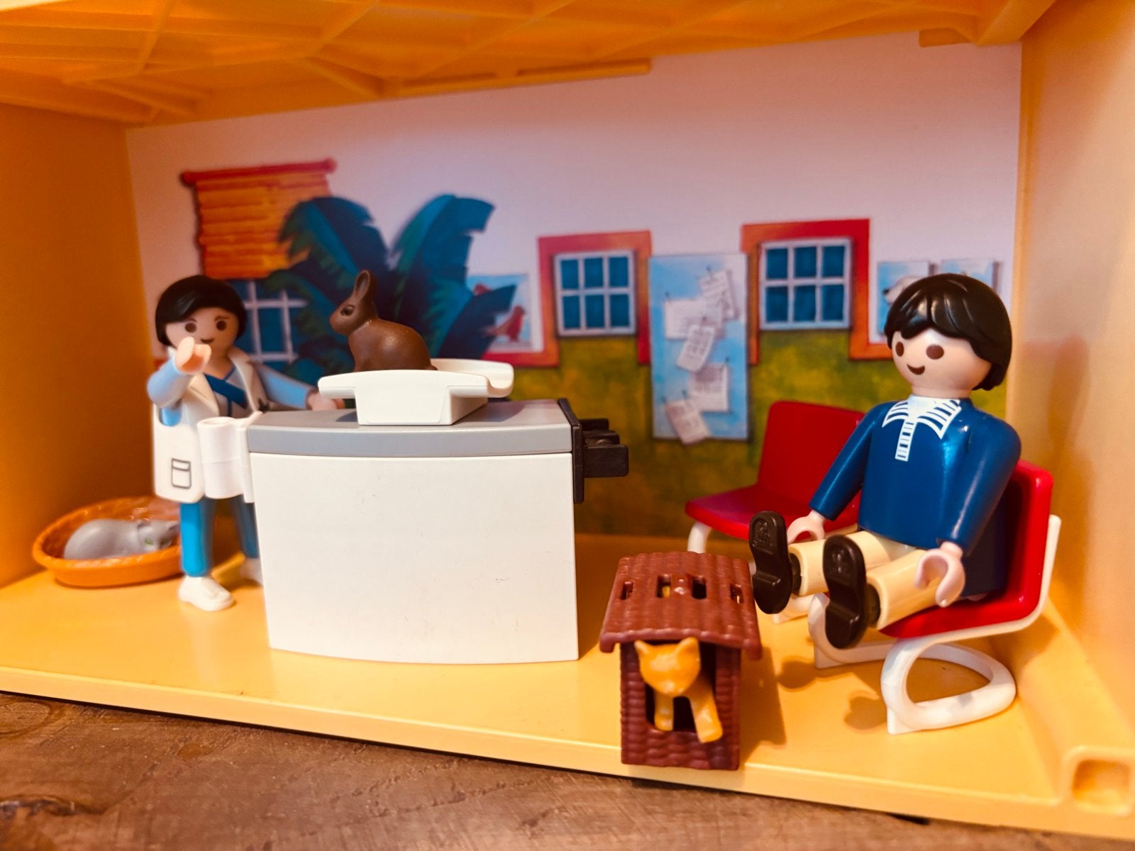 Playmobil Dierenkliniek Draagbare Speelset, Ophalen of Verzenden, Gebruikt, Jongen of Meisje