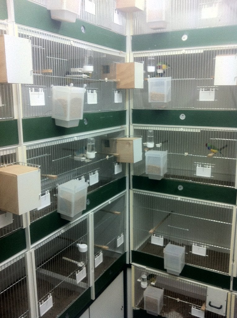 Broedkooien Heesakkers, Dieren en Toebehoren, Ophalen, Gebruikt, Kunststof, Broedkooi of Kweekkooi