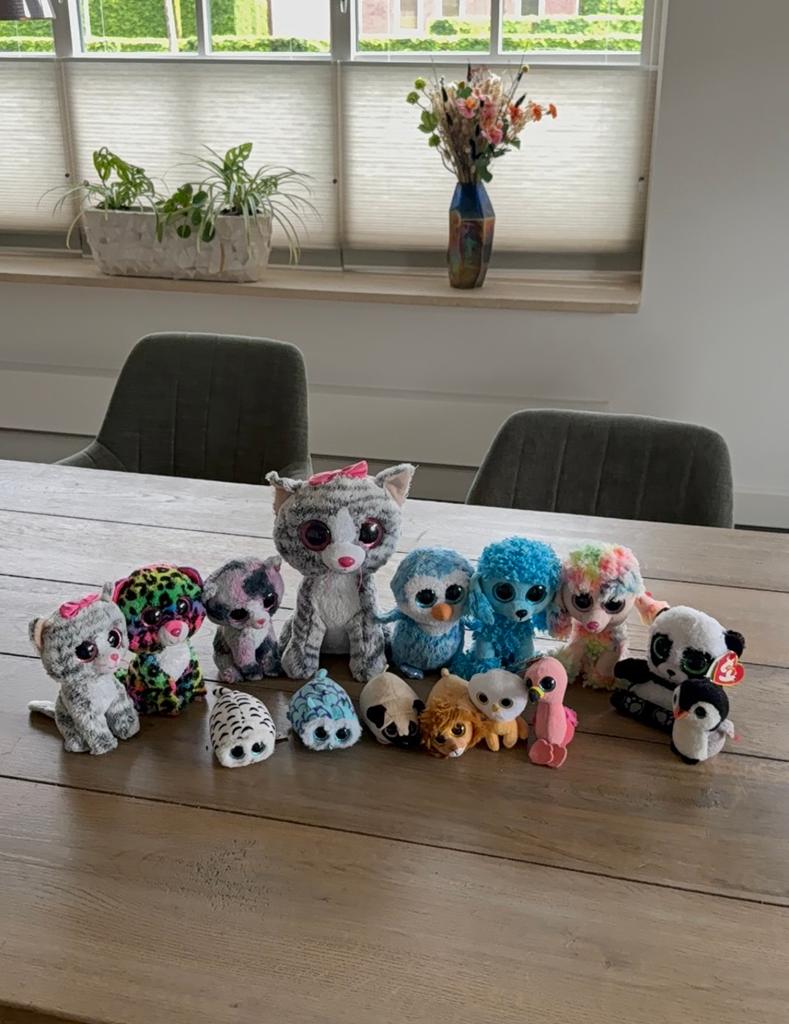 15 Ty knuffelberen - Diverse Beanie Boos en meer, Ophalen of Verzenden, Zo goed als nieuw