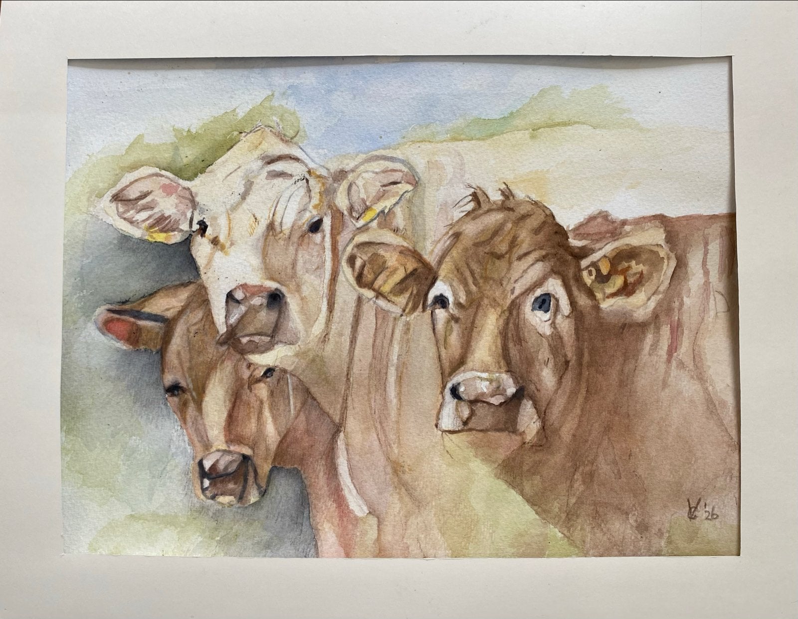 Aquarel nieuwsgierige koeien - Origineel en gesigneerd, Ophalen of Verzenden, Tekening, Aquarel, Gesigneerd