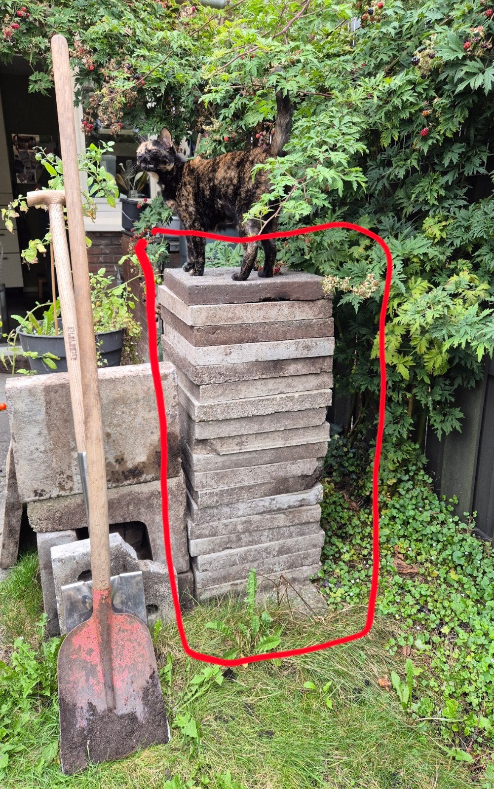 Betontegels/tuintegels 23 stuks 40 x 40 cm gratis, Tuin en Terras, Tegels en Klinkers, Ophalen, Gebruikt, Minder dan 5 m², Beton