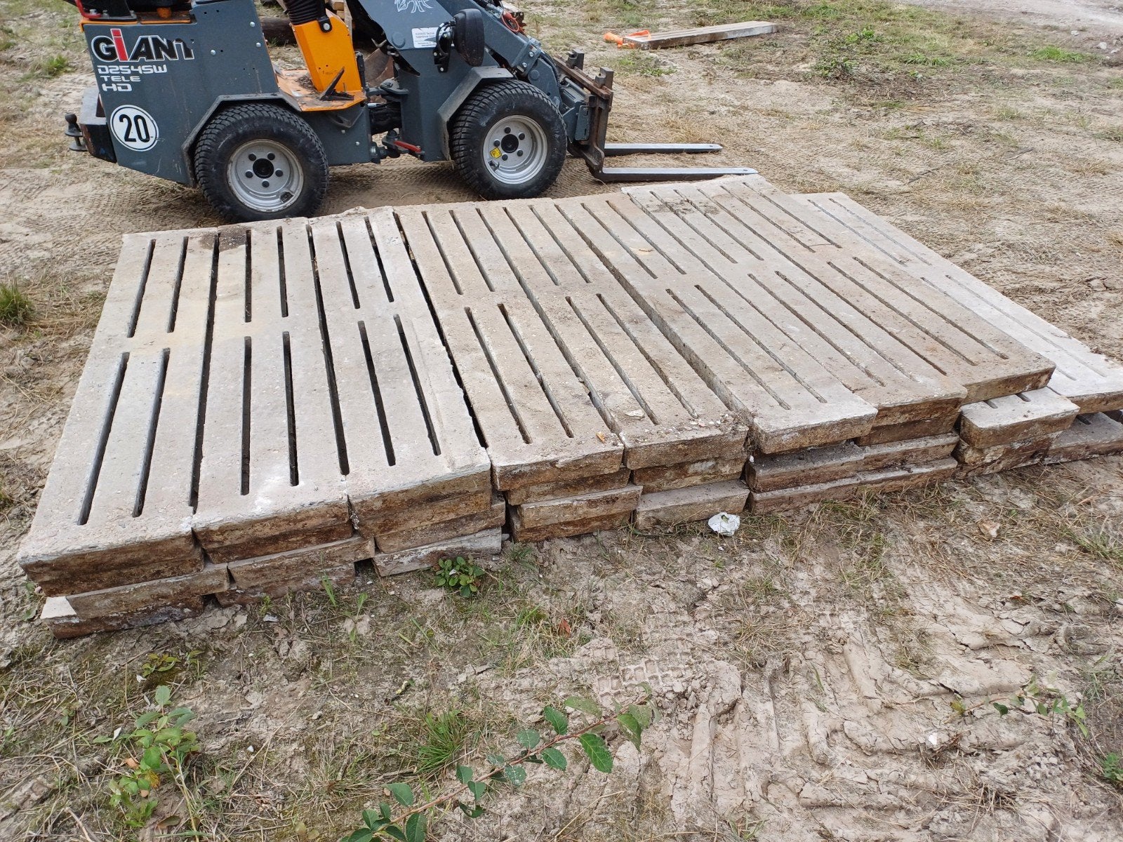 betonroosters, Dieren en Toebehoren